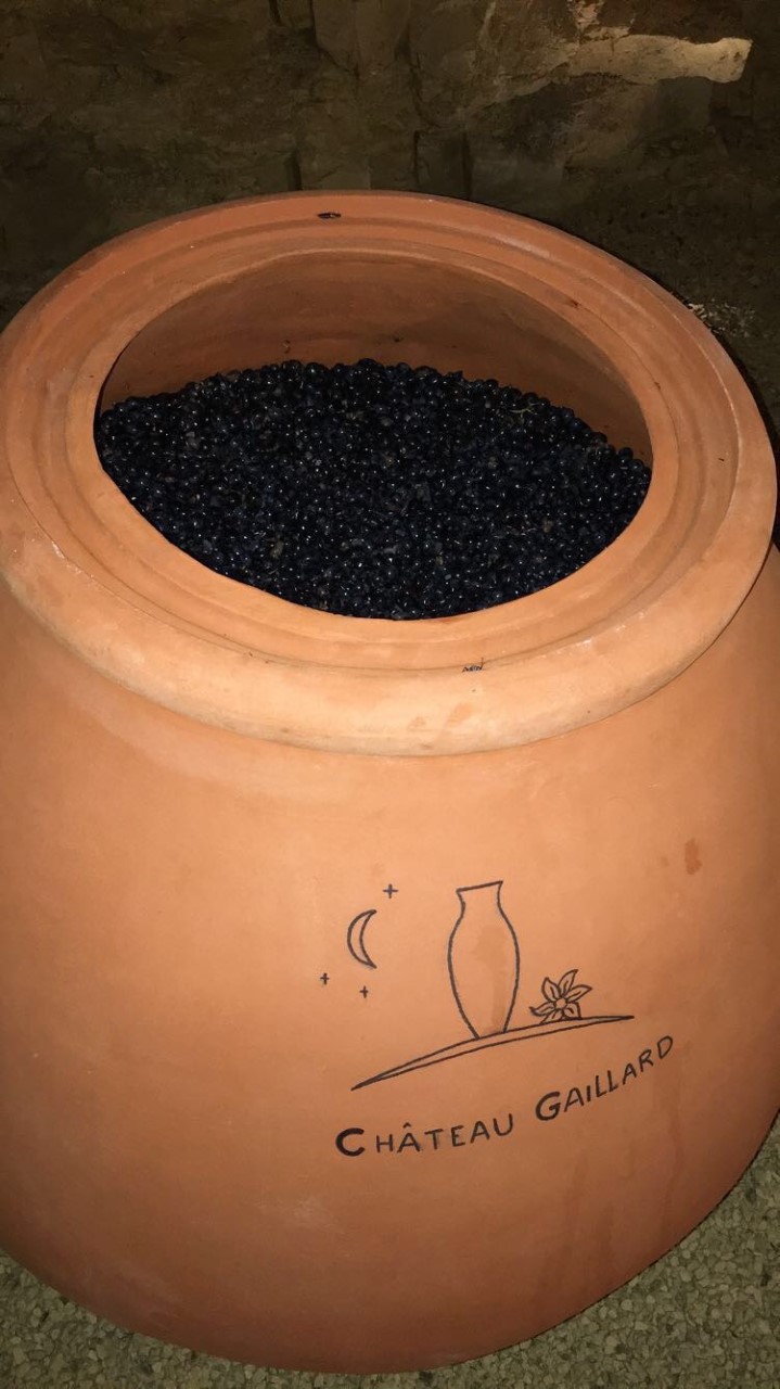 Jarre terre cuite raisins noirs