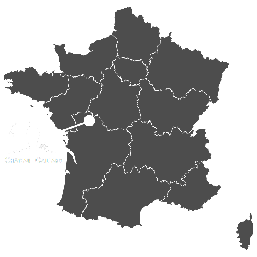 Producteur de vin château gaillard